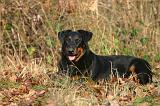 BEAUCERON 1032